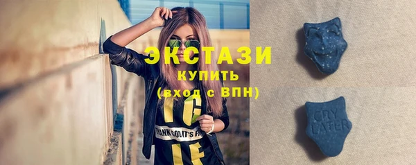 соль ск Ельня