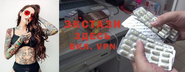 соль ск Ельня