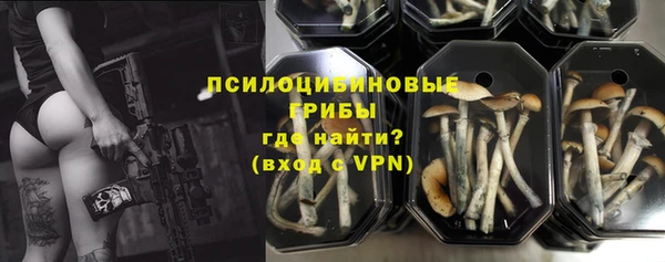 спайс Елабуга