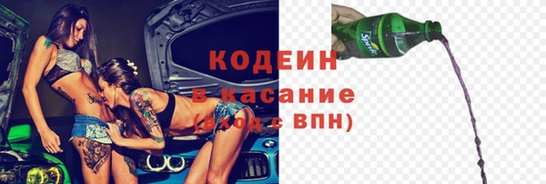 шишки Елизово