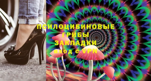 соль ск Ельня