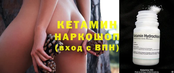 соль ск Ельня