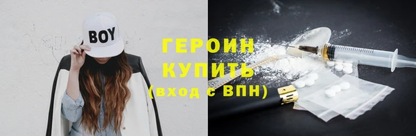 шишки Елизово