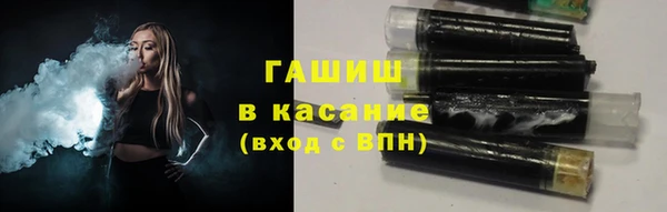 соль ск Ельня