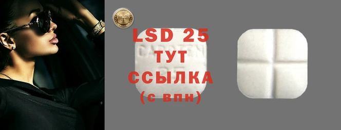 соль ск Ельня