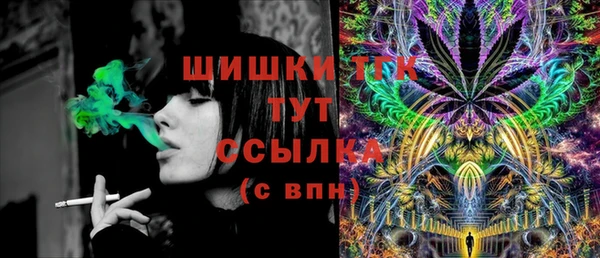 соль ск Ельня