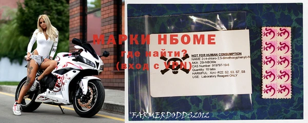 шишки Елизово