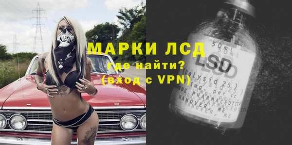 соль ск Ельня