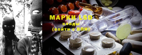 соль ск Ельня