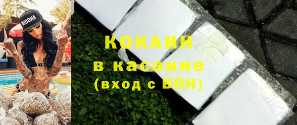 шишки Елизово