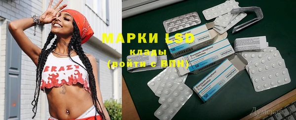шишки Елизово