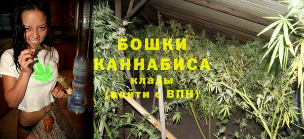 соль ск Ельня