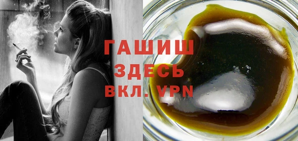 шишки Елизово