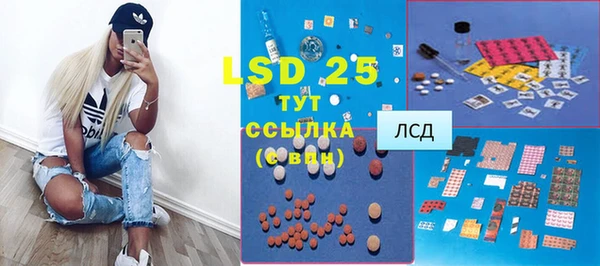 соль ск Ельня