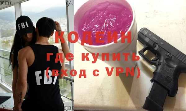 соль ск Ельня