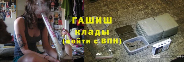 шишки Елизово