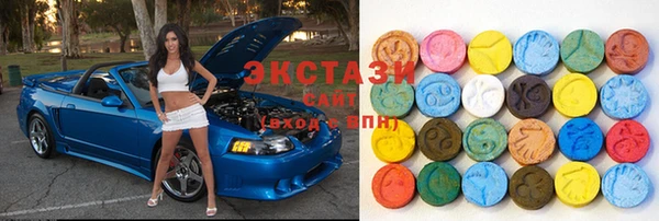 соль ск Ельня