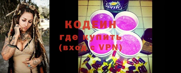 соль ск Ельня