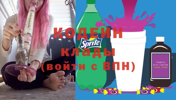 шишки Елизово