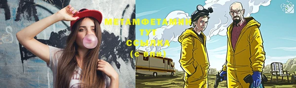 соль ск Ельня