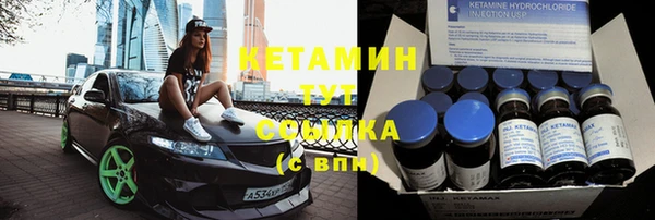шишки Елизово