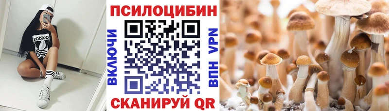 ссылка на мегу ТОР  Одинцово  Галлюциногенные грибы прущие грибы 